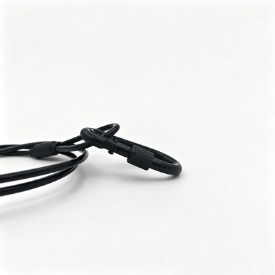 Black Medium Duty Stainless Steel Safety Cable Electroplated Carabiner Spring Hook for Stage Light Fixture Security Protection